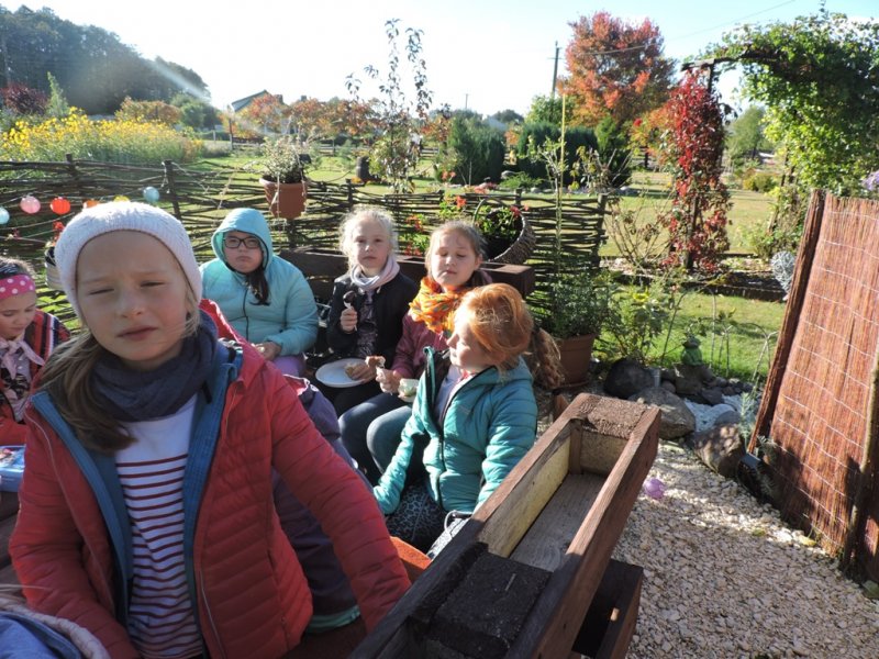 Święto pieczonego ziemniaka 2016